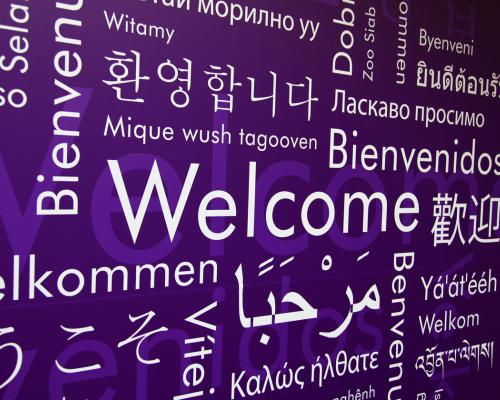 Welcome to Judo Education Sports Courses for schools